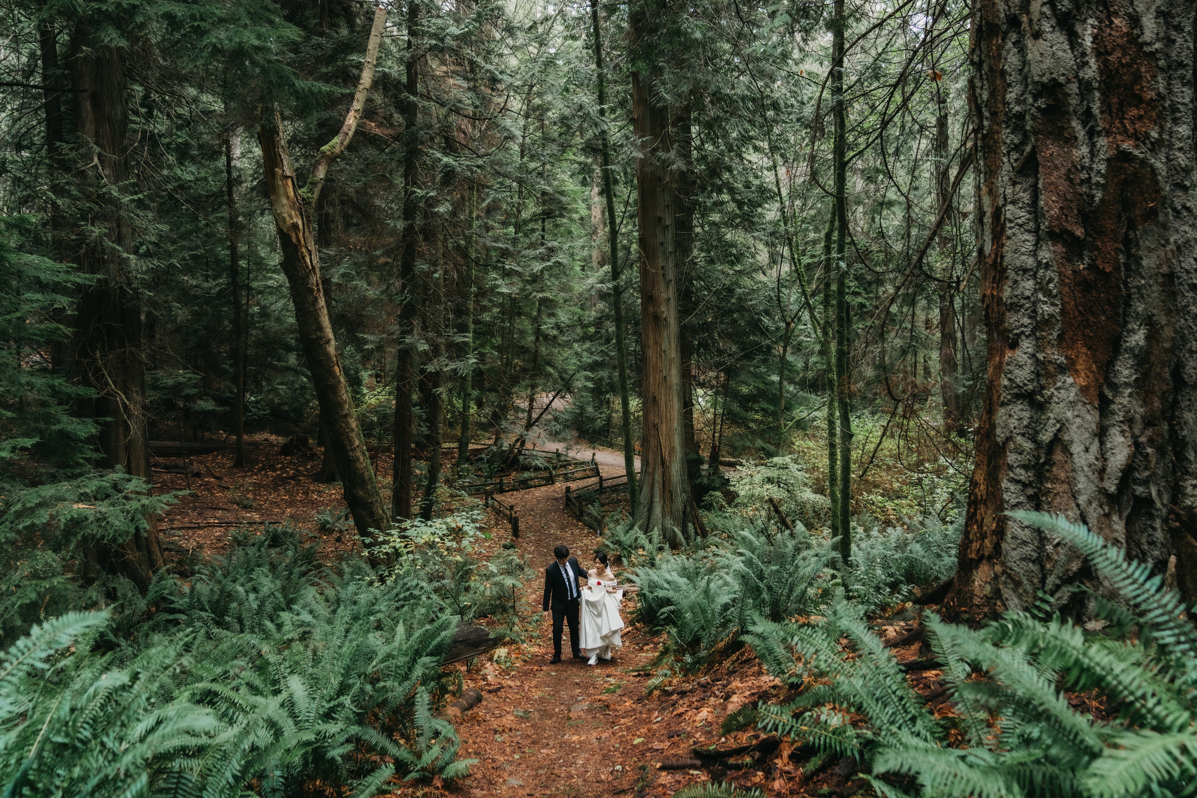 Jin and Tony's pre-wedding photo 49